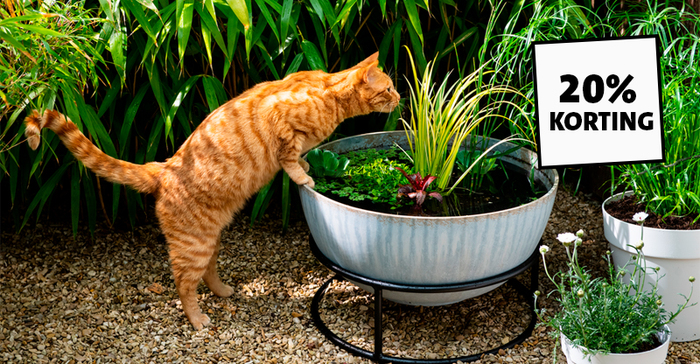 Shop kattenvoer en - benodigdheden met 20% korting