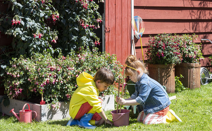 Maak je tuin klaar voor de zomer