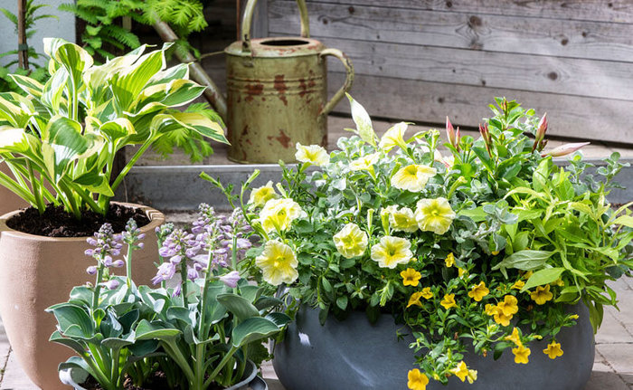 To do: Balkon en terras