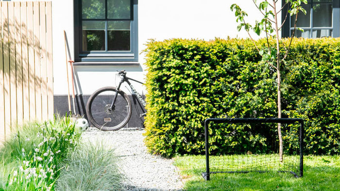 Ontdek in de snoeikalender van juni welke planten er deze maand gesnoeid mogen worden