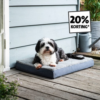 20% korting op alle dierenaccessoires en voeding