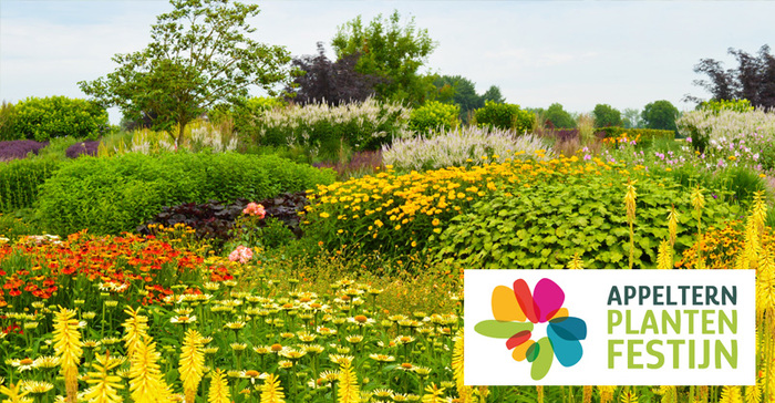 Wil je de laatste noviteiten ontdekken op het gebied van tuinplanten? Kom dan op 24 en 25 juni naar het Plantenfestijn van Appeltern.