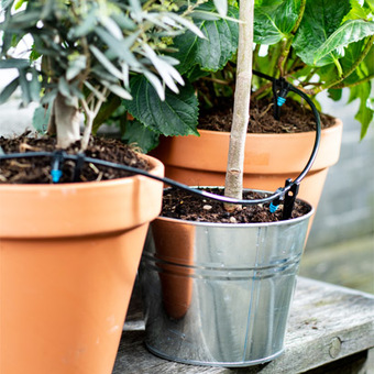 Intratuin druppelsysteem Voor planten op het terras. Van 39.99 voor 29.99