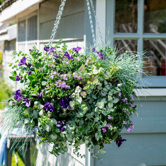 Workshop: hangend bloementuintje maken