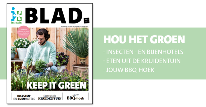 Er is weer een nieuw Blad uit. Lees hem nu!