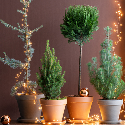 Mini-kerstbomen: Voor kleine interieurs of voor op de kinderkamer