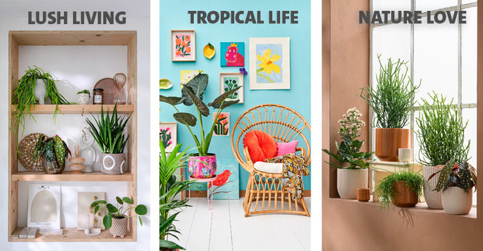 Woontrends Voorjaar 2023: ontdek Lush Living, Tropical Life en Nature love