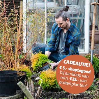 €5.- shoptegoed bij besteding van €25.- aan buitenplanten