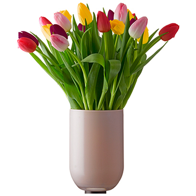 Tulpenvaas Emilia van 5.99 voor 3.99