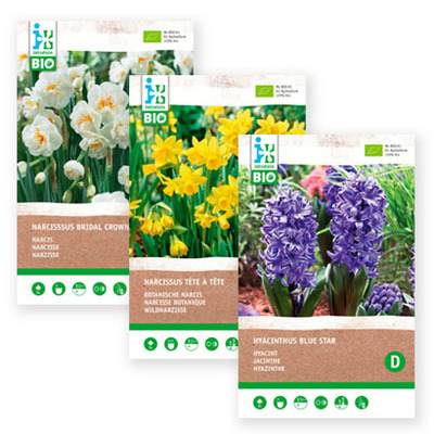 Alle Intratuin biologische bloembollen. Diverse soorten. Bijvoorbeeld: narcis (Narcissus ‘Tête-à-Tête’) of vossendruif (Fritillaria uvavulpis), 5 stuks. Vanaf 3.49 Nú 10% korting