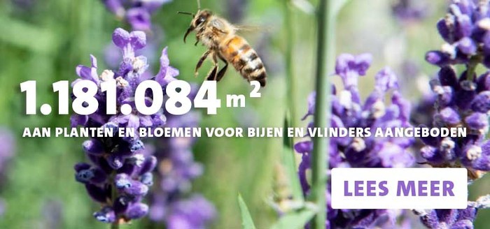 vlinders en bijen blij, wij lij!