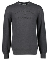 Björn Borg sweater