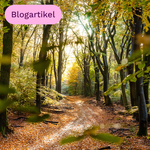 Veluwe