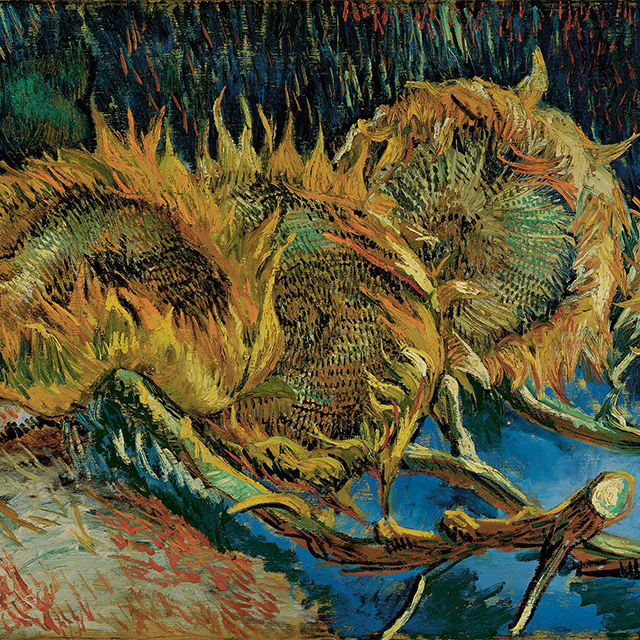 Vier uitgebloeide zonnebloemen, Vincent van Gogh