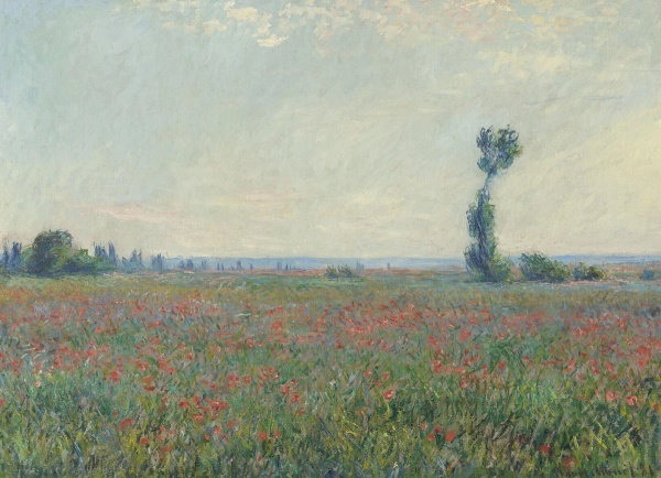 Claude Monet, Papaverveld (Champ de coquelicots), 1881