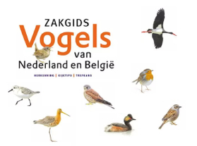 Makkelijk vogels herkennen