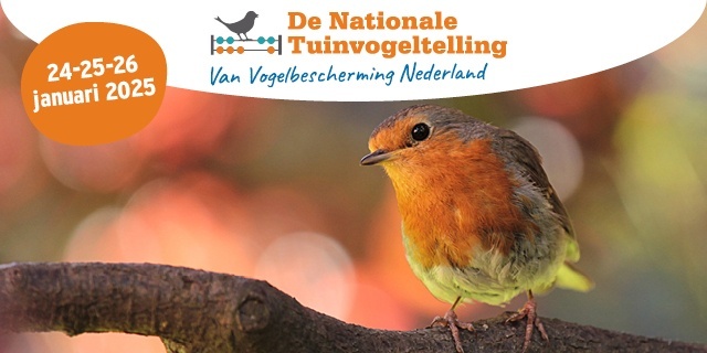 Nationale Tuinvogeltelling 2025 | Doe ook mee