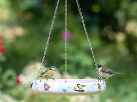 Help de vogels de zomer door