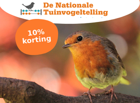 Vogelvriendelijke tuin inrichten