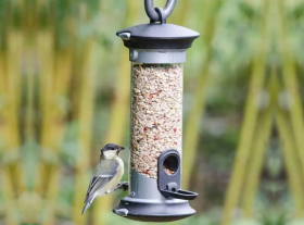 Vogels in je tuin voeren