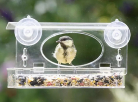 De (tuin)vogels van dichtbij zien?